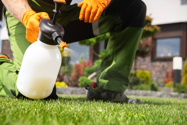 Reliable Falls Creek, PA Pest Control Solutions